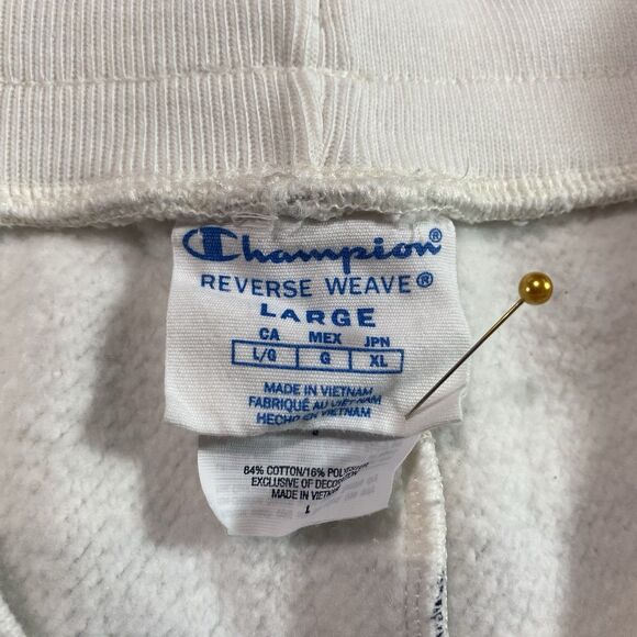 Champion Reverse Weave Shorts Urban Outfitters Fleece Lined Stripe Womens Sz L - Picture 3 of 9